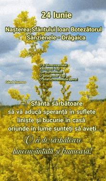 a picture of yellow flowers with the date 24 lunie
