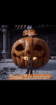Rip Bless Unleashed GIF - Rip Bless Unleashed Sad GIFs