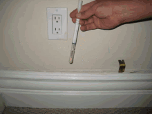 Mold Inspections Los Angeles Mold Inspection And Testing GIF