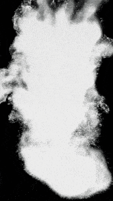 a black background with a white smoke coming out of it and a green emblem that says ' chronic ' on it