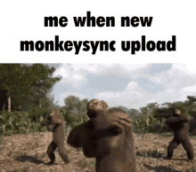 Monkeysync Syncmonkey GIF - Monkeysync Syncmonkey Keplersync GIFs
