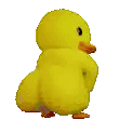 Duck Bird Sticker - Duck Bird Yellow Stickers