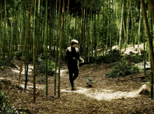 a person walking through a bamboo forest with a turtle on the ground
