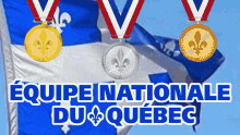 équipe Québec Equipe Quebec GIF - équipe Québec Equipe Quebec Quebec GIFs