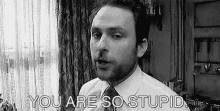 Dummy GIF - Stupid You Are So Stupid Charlie Day GIFs