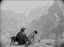 Old View Of Yosemite GIF