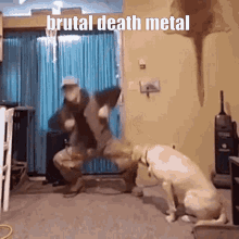 Death Metal Brutal Death Metal GIF - Death Metal Brutal Death Metal Metal GIFs