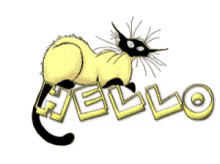 Hello Cat GIF - Hello Cat Greeting GIFs