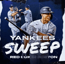 New York Yankees GIF - New York Yankees GIFs