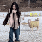 a woman in a scarf stands in front of two sheep in the snow with a sign that says ( a )