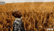 Bhm - R.Kelly - I Beleive I Can Fly GIF