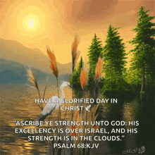 a painting of a bird with a quote from psalm 68
