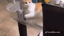 Cat Must Gag Because Of Broccoli Katze Muss Wegen Brokoli Würgen GIF - Cat Must Gag Because Of Broccoli Katze Muss Wegen Brokoli Würgen Cat GIFs