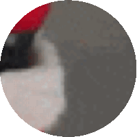 a gray circle with a red border and a white border