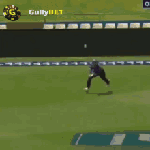 Gullybet Indian Cricket GIF