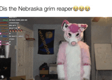 a warriors banner hangs on a wall behind a furry costume that says dis the nebraska grim reaper