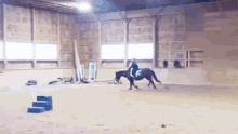 Molly The Horse And Me GIF