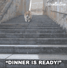 Dinner Is Ready On My Way GIF