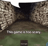 a screenshot of a video game with the words this game is too scary