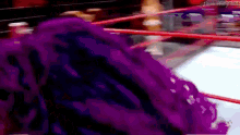 a person in a purple dress is wrestling in a ring with a red rope .