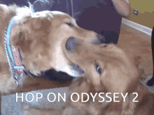 Odyssey2 Hop On GIF - Odyssey2 Hop On Minecraft GIFs