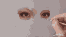 a person is holding a bunch of eye shadows in their hands .