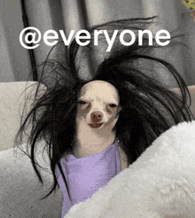 a picture of a dog with a wig and the words @everyone written above it