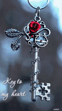 love key roses petal key to my heart