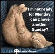 a cat laying on its back with a caption that says i 'm not ready