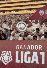 Universitario De Deportes Ganadores Del Torneo Apertura GIF