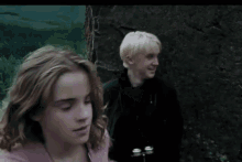 Hermione Harry Potter GIF - Hermione Harry Potter Draco GIFs