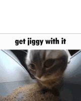 Jiggy Get Jiggy With It Sticker - Jiggy Get Jiggy With It Dancing Stickers