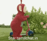 a red teddy bear is riding a scooter with the words star tamilchat.in underneath it