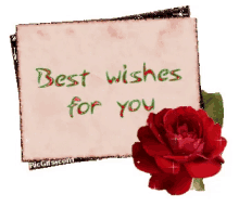 Best Wishes For You Rose GIF - Best Wishes For You Rose Notes GIFs