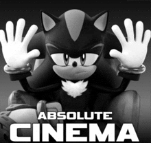 a poster for absolute cinema with a shadow the hedgehog on it