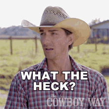 What The Heck Cody Harris GIF - What The Heck Cody Harris The Cowboy Way GIFs