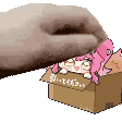 a cat is putting a pink girl in a cardboard box .