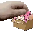 a cat is putting a pink girl in a cardboard box .