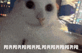 a white cat sitting in front of a computer with the words po pi po pi po po pi po po pi po