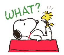 Snoopy What GIF - Snoopy What GIFs