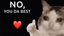 a cat is giving a thumbs up in front of a sign that says " no you da best "
