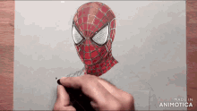 a person is drawing a picture of a spiderman with a pencil .