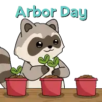 a cartoon of a raccoon holding a plant with the words arbor day written above it