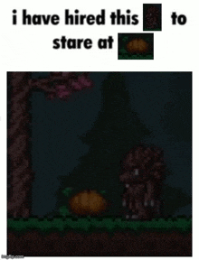 a screenshot of a video game with the words `` i have hired this to stare at '' .