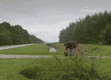 a man standing in a field with a bbc knowled logo on the bottom right