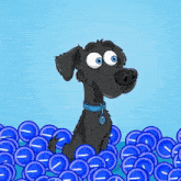 a cartoon dog wearing a blue collar with the letter c on it is surrounded by blue circles