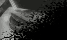 a black and white photo of a hamburger being cut with a knife .
