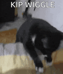 a black cat is laying on a bed with the caption kip wiggle .