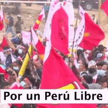 Peru Libre Pedro Castillo GIF - Peru Libre Pedro Castillo Peru GIFs