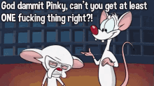 God Dammit Pinky! - Via Nostalgia Critic GIF - Pinky And The Brain Nostalgia Critic Funny GIFs